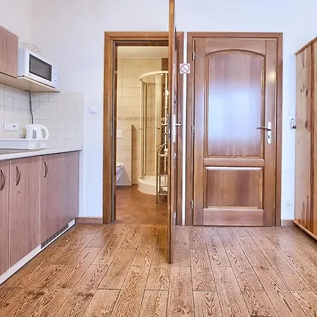 Apartment Visitzakopane - *