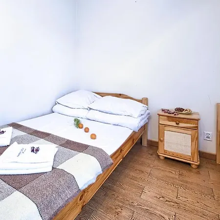 Apartment Visitzakopane - *