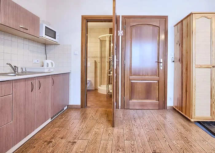 Apartment Visitzakopane - *